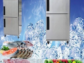 Tủ đông lạnh công nghiệp 2 cánh