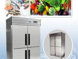 Tủ đông công nghiệp 4 cánh TDM-1100