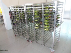 Xe đẩy khay không cửa