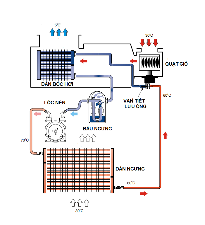Nguyên lý hoạt động của tủ lạnh công nghiệp 4 cánh